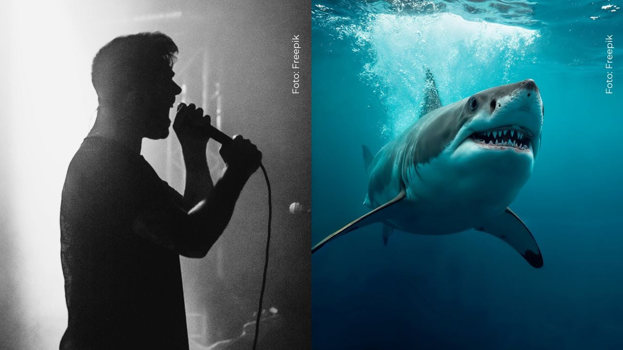 Hijo de Jorge D'Alessio fue mordido por un tiburón