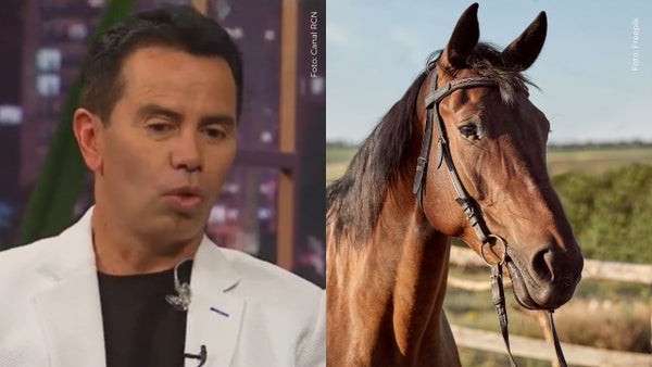 Jhonny Rivera impactó al revelar el lujoso regalo que recibió en su boda, ¿un caballo?