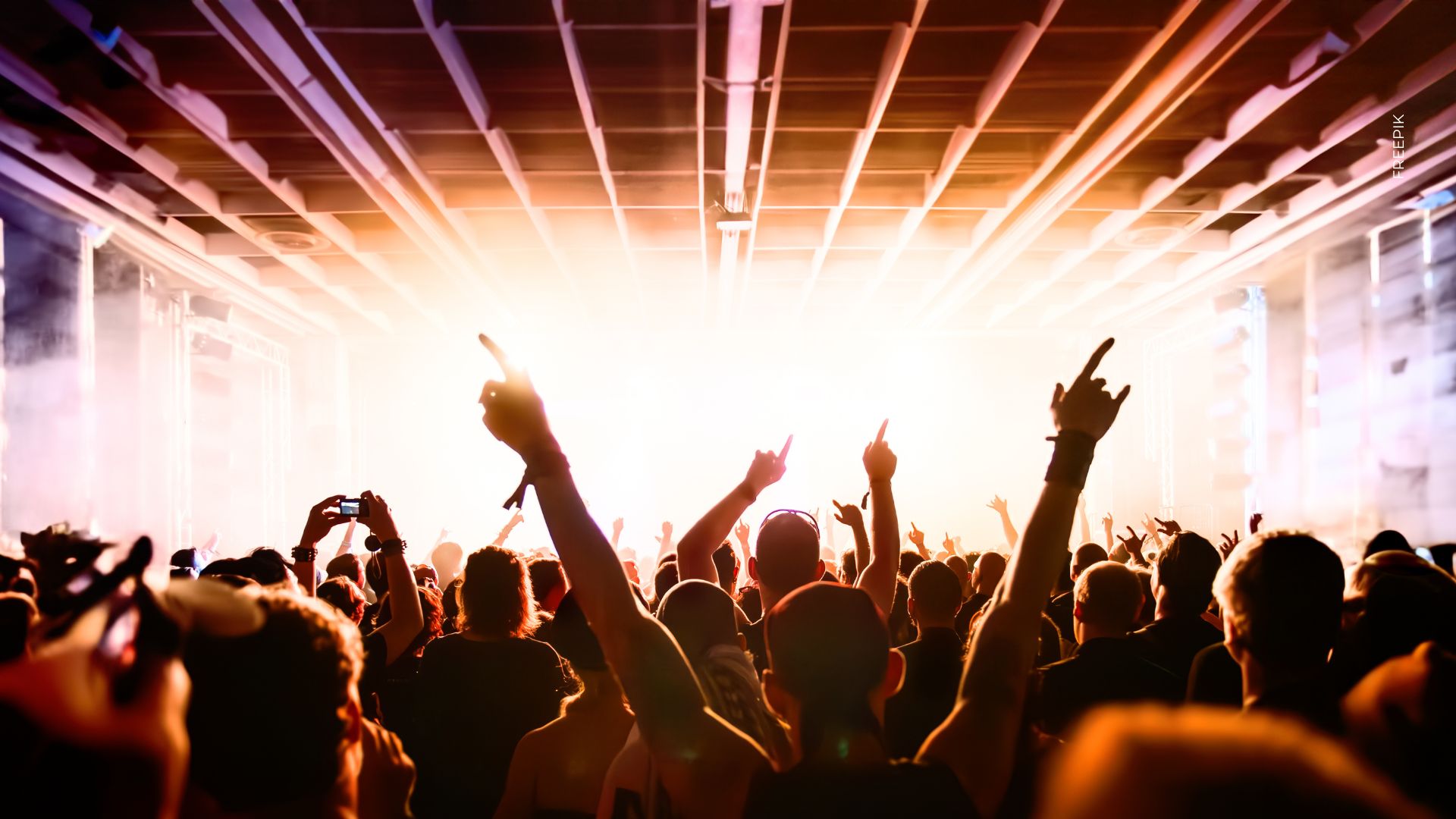 Ritvales Raíz, el festival de música electrónica en Medellín