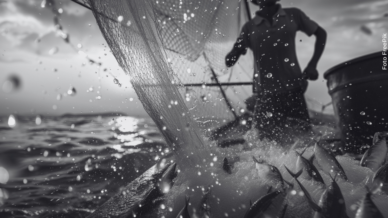 Todd Meadows falleció durante las grabaciones de serie televisiva. 