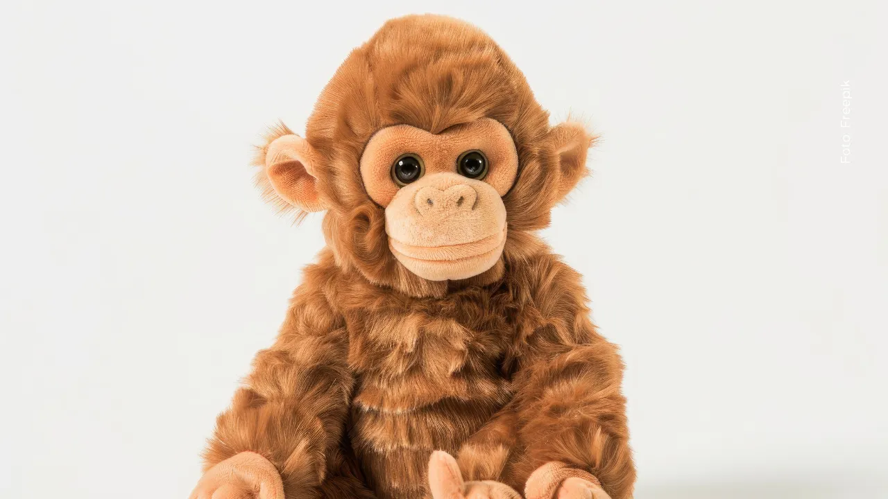 El monito Punch reaparece y derrite a internet con su nuevo gesto