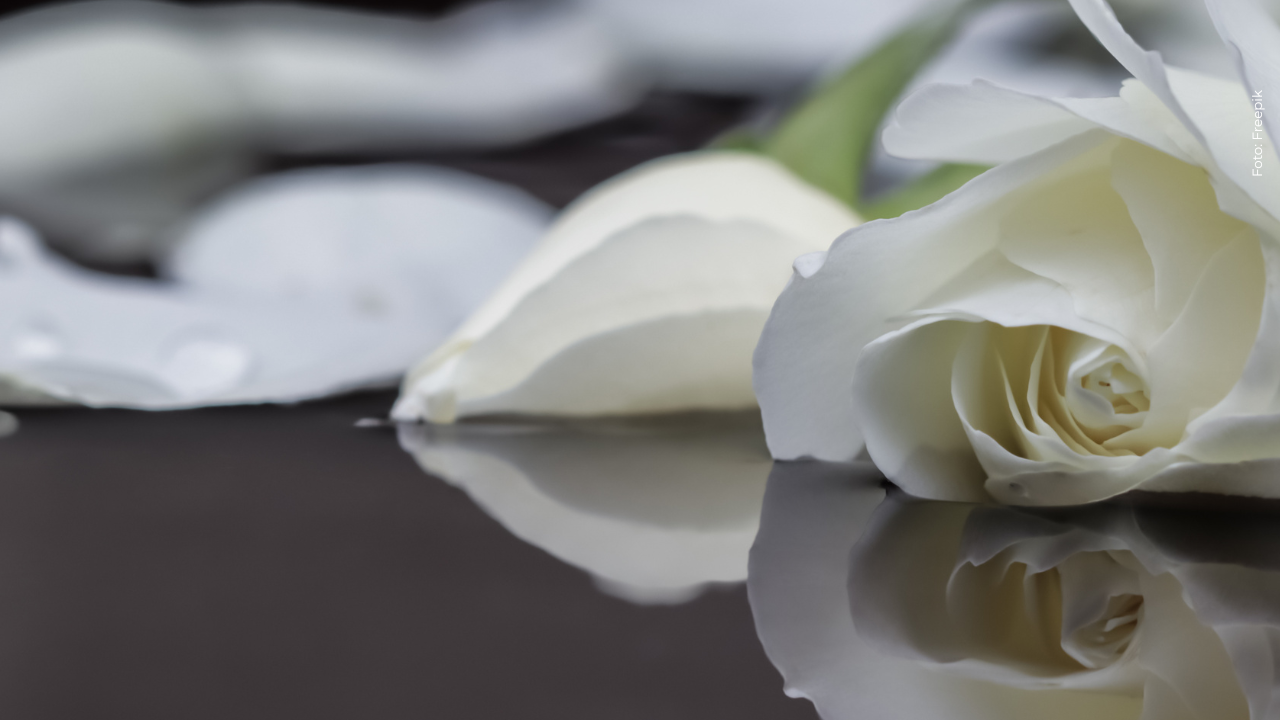 ¡Luto en redes! Falleció reconocida celebridad tras complicaciones cardiacas: ¿quién?