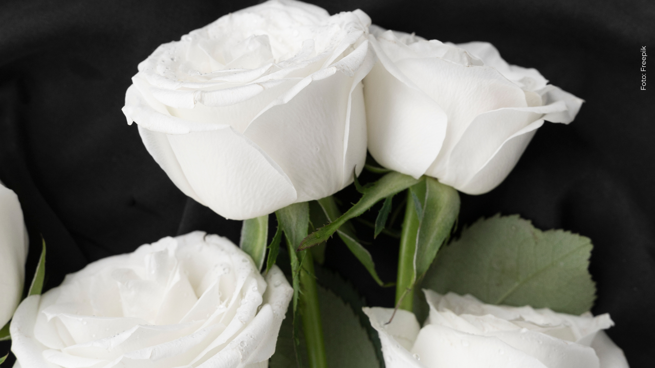 ¡Luto en redes! Falleció reconocida celebridad tras complicaciones cardiacas: ¿quién?