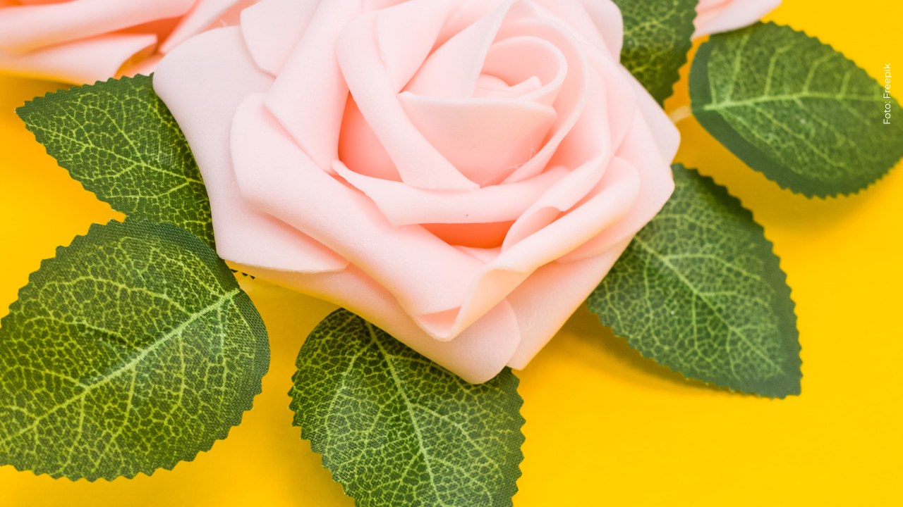 ¡Día de la mujer en Colombia! ¿Por qué se celebra esta fecha y qué regalos compartir en