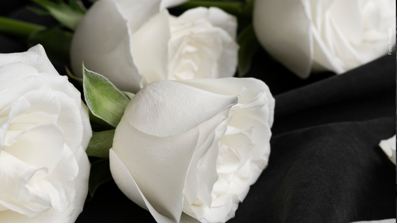 Hombre muestra video horas antes del fallecimiento de mujer que cayó de tobogán: ¿qué dijo?