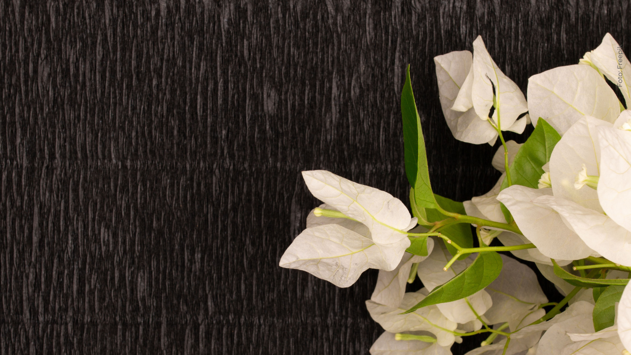 Hermano de Hugo García, pareja de Isabella Ladera, se viste de luto en sus redes: esto dijo