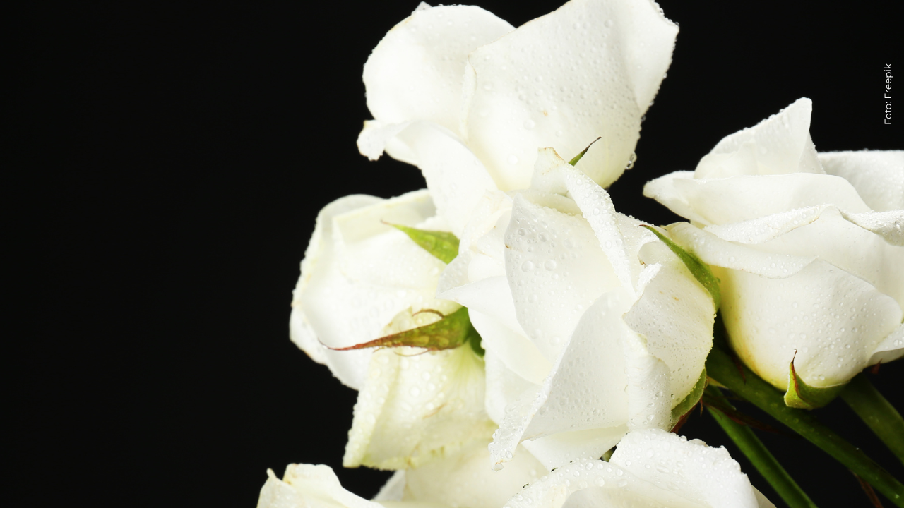 Hermano de Hugo García, pareja de Isabella Ladera, se viste de luto en sus redes: esto dijo