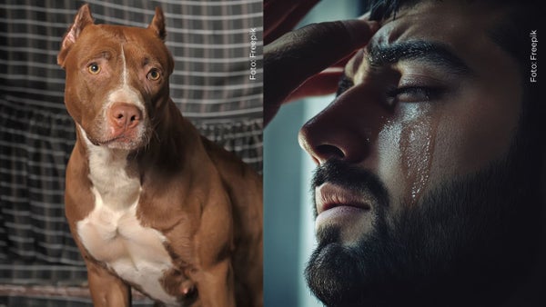Influencer colombiano conmueve al compartir triste noticia sobre su perrito: "Quedan días o meses con él"