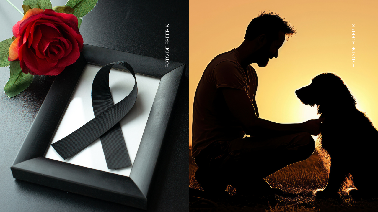 Lucas Arnau revela cómo vive el duelo tras el fallecimiento de su mascota