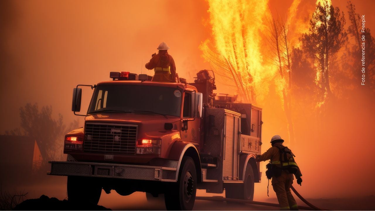 Diana Celis grabó cuando un automóvil se incendió en plena vía