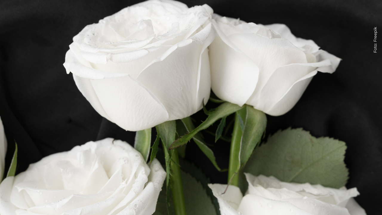 Reconocida actriz está de luto tras el fallecimiento de su bebé: esta dolorosa foto compartió