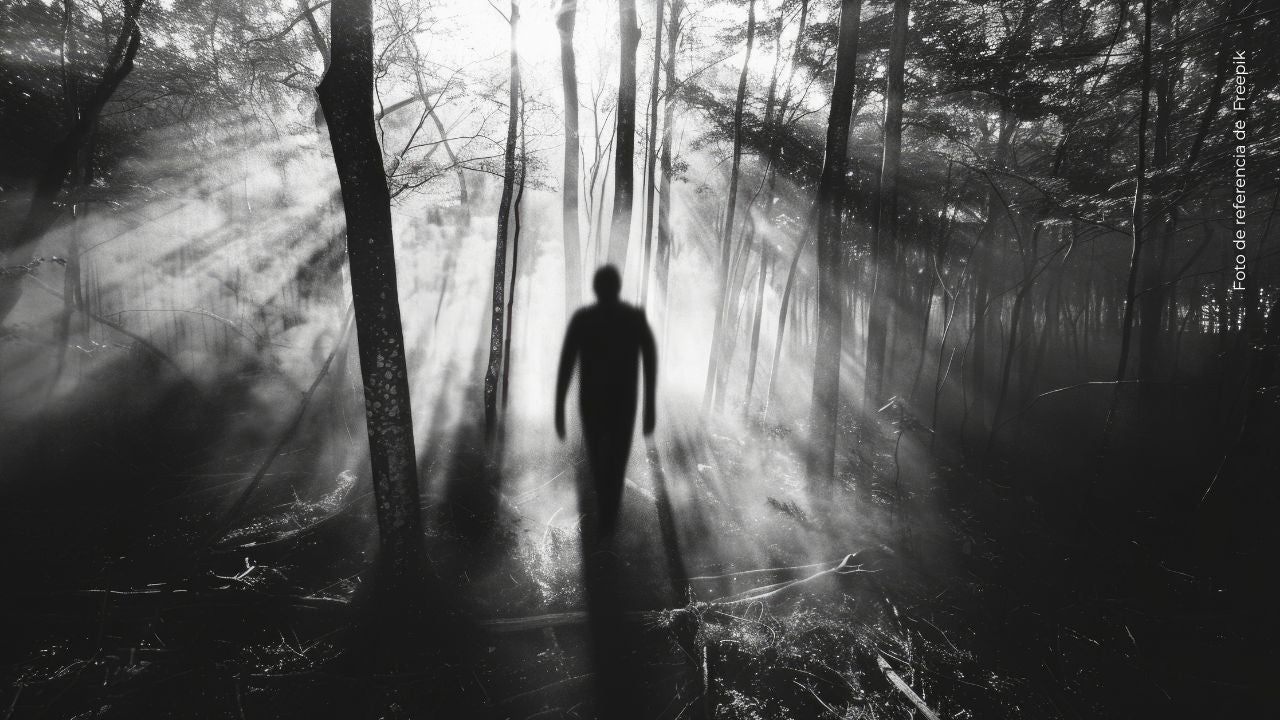 El video de Alejo Little que muchos interpretan como una predicción de su muerte.