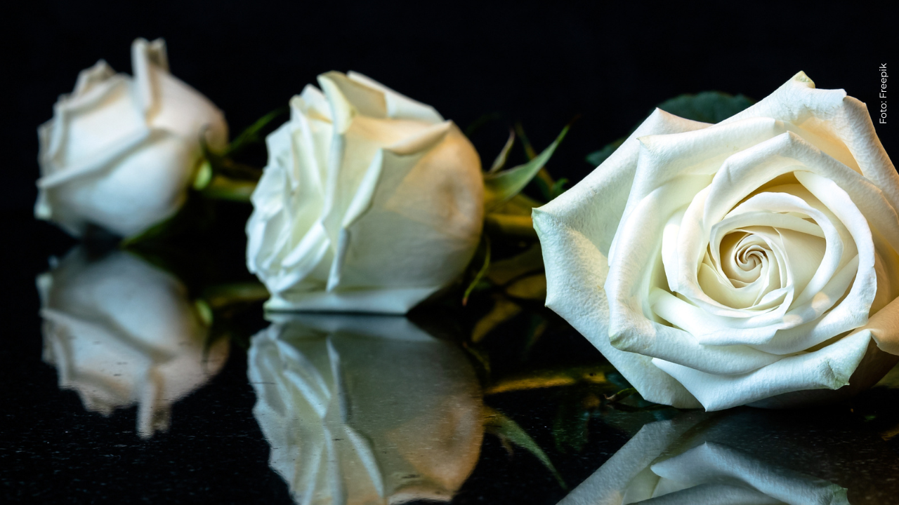 ¡Luto en redes! Falleció reconocida celebridad tras grave accidente en moto: ¿quién?