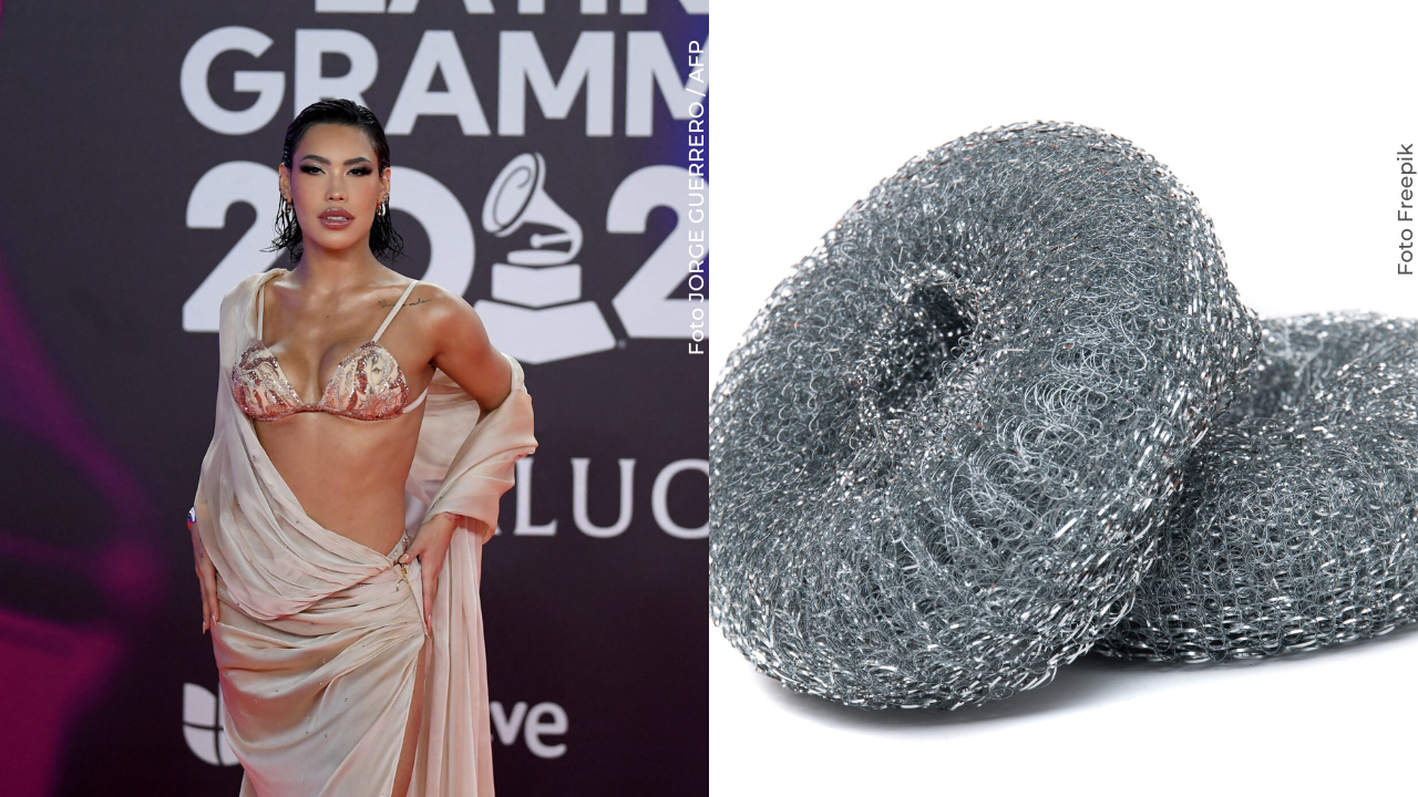 Ana del Castillo se comparó con un brillo fino de cocina