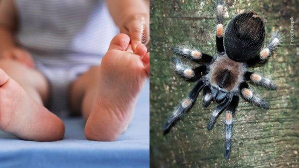 Bebé de reconocida actriz terminó hospitalizada tras picadura de una araña de rincón