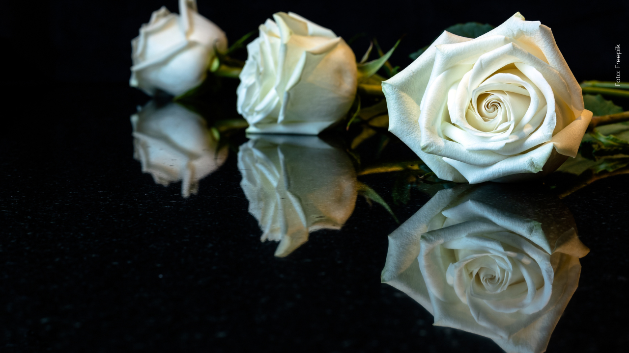 Reconocida agrupación colombiana se pronunció con doloroso mensaje tras accidente aéreo en Putumayo