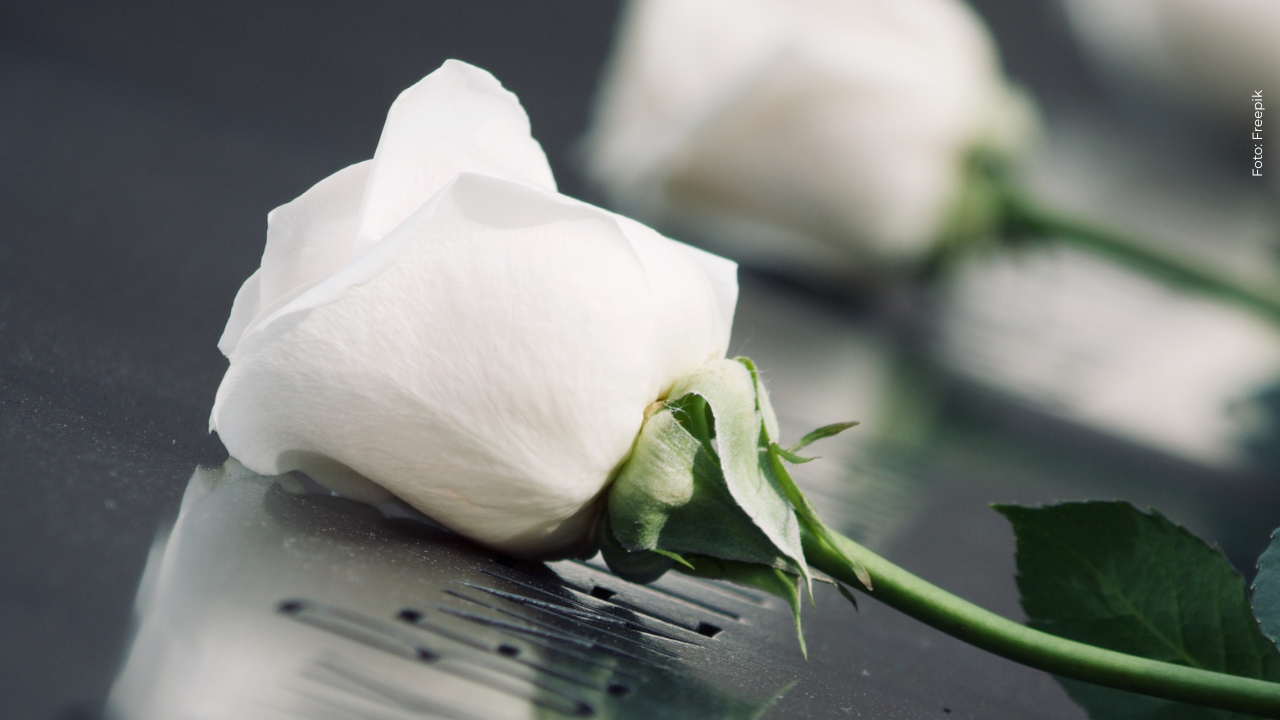 Reconocida periodista falleció en grave hecho junto a sus tres hijos: así se confirmó la noticia