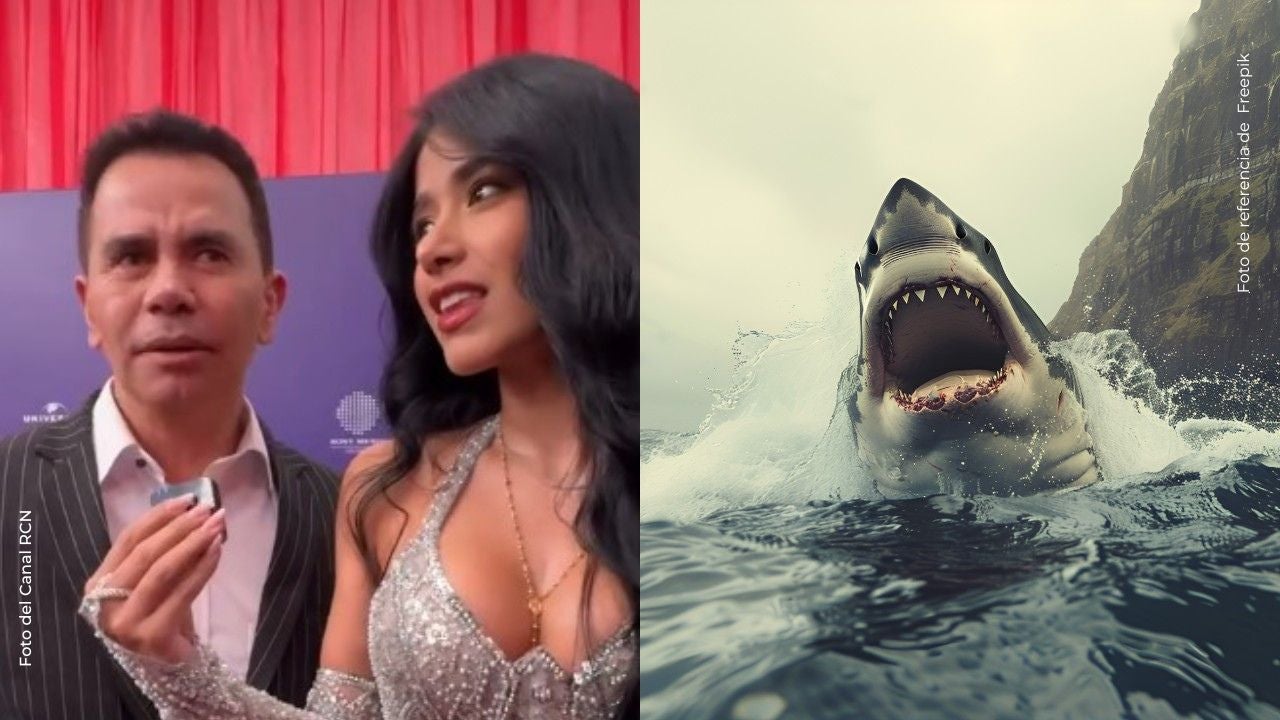 Tiburón sorprende a Jhonny Rivera y Jenny López en plena luna de miel