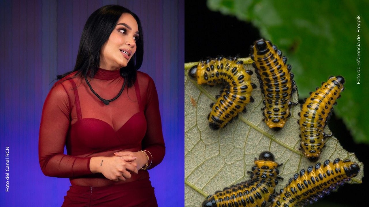 Andrea Valdiri sorprende al comer monojojoys vivos en el Amazonas