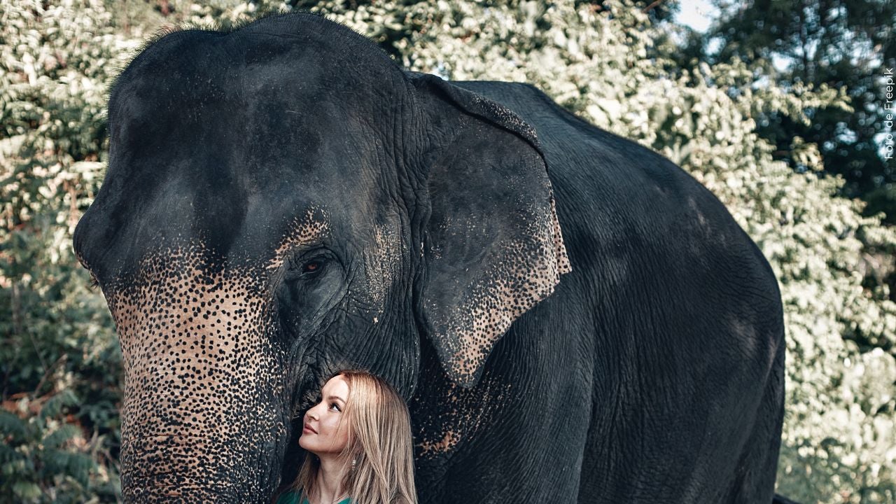 Las autoridades investigan el caso de Chanchal. 