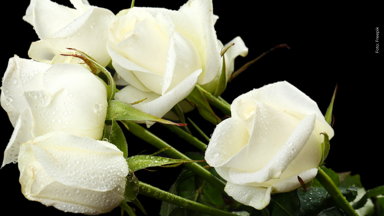 Falleció reconocido actor que dejó importante legado en la televisión: así se confirmó la noticia