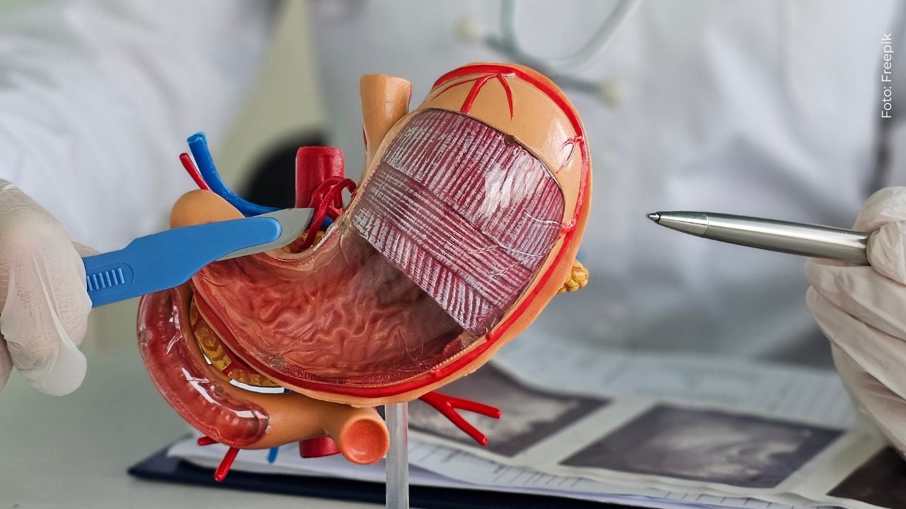 Murió Miss North Carolina 2024 tras padecer cáncer de estómago