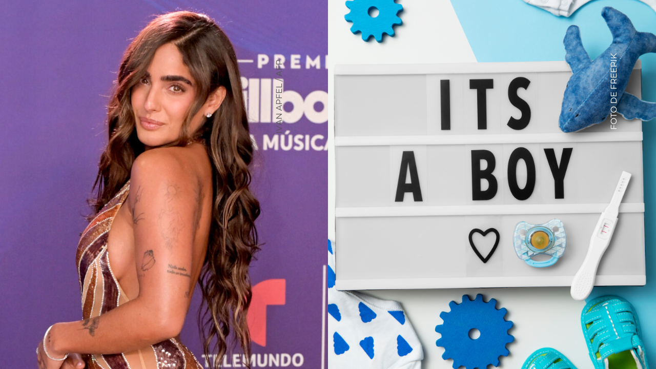 ¿Qué ha revelado Isabella Ladera de su embarazo?