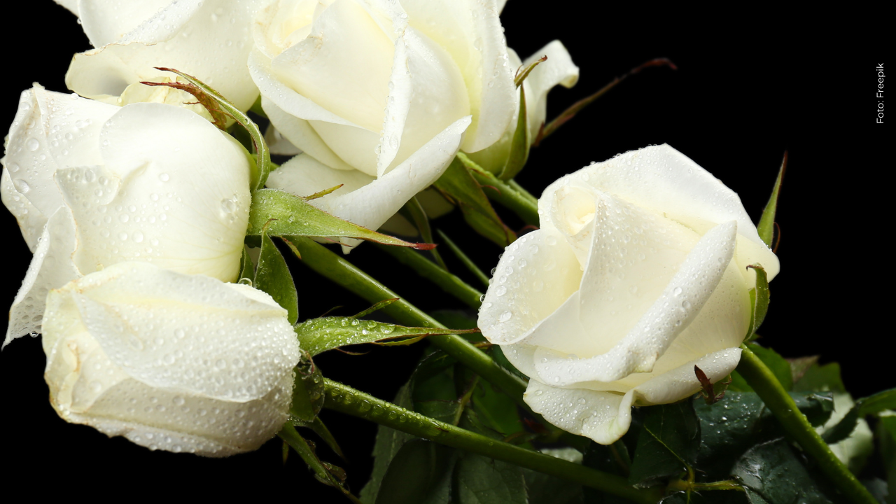 Santiago Vargas, periodista del Canal RCN se viste de luto tras lamentable pérdida: ¿quién fue?