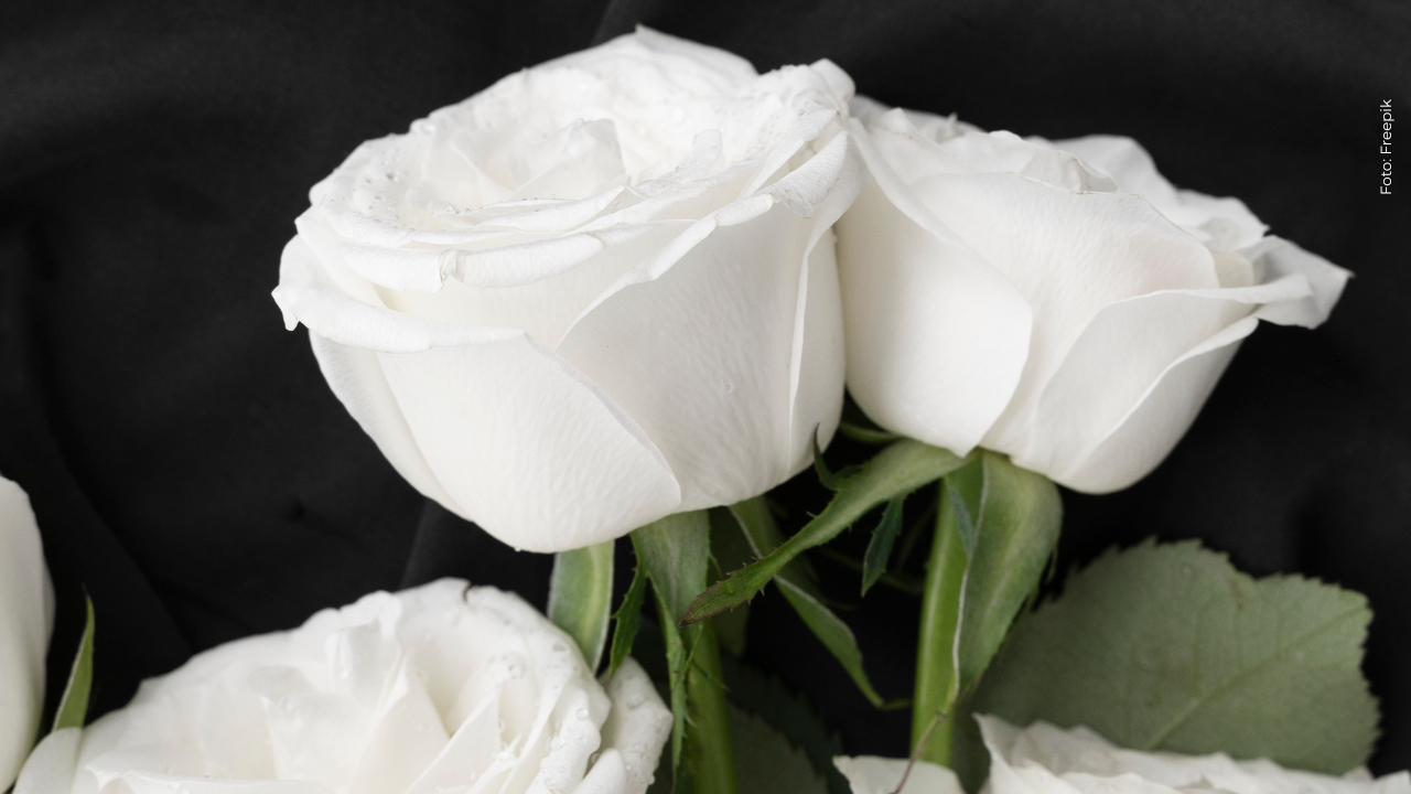 ¡Luto en el fútbol colombiano! Falleció exjugador de Millonarios F.C: ¿quién fue?