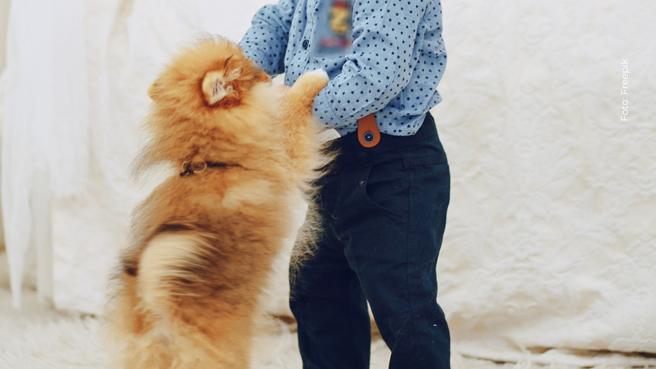 Paola Jara derrite las redes con tierno momento entre Emilia y su mascota.