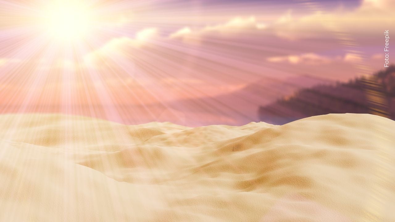 Exreina de belleza trans revela por qué decidió volver a ser hombre