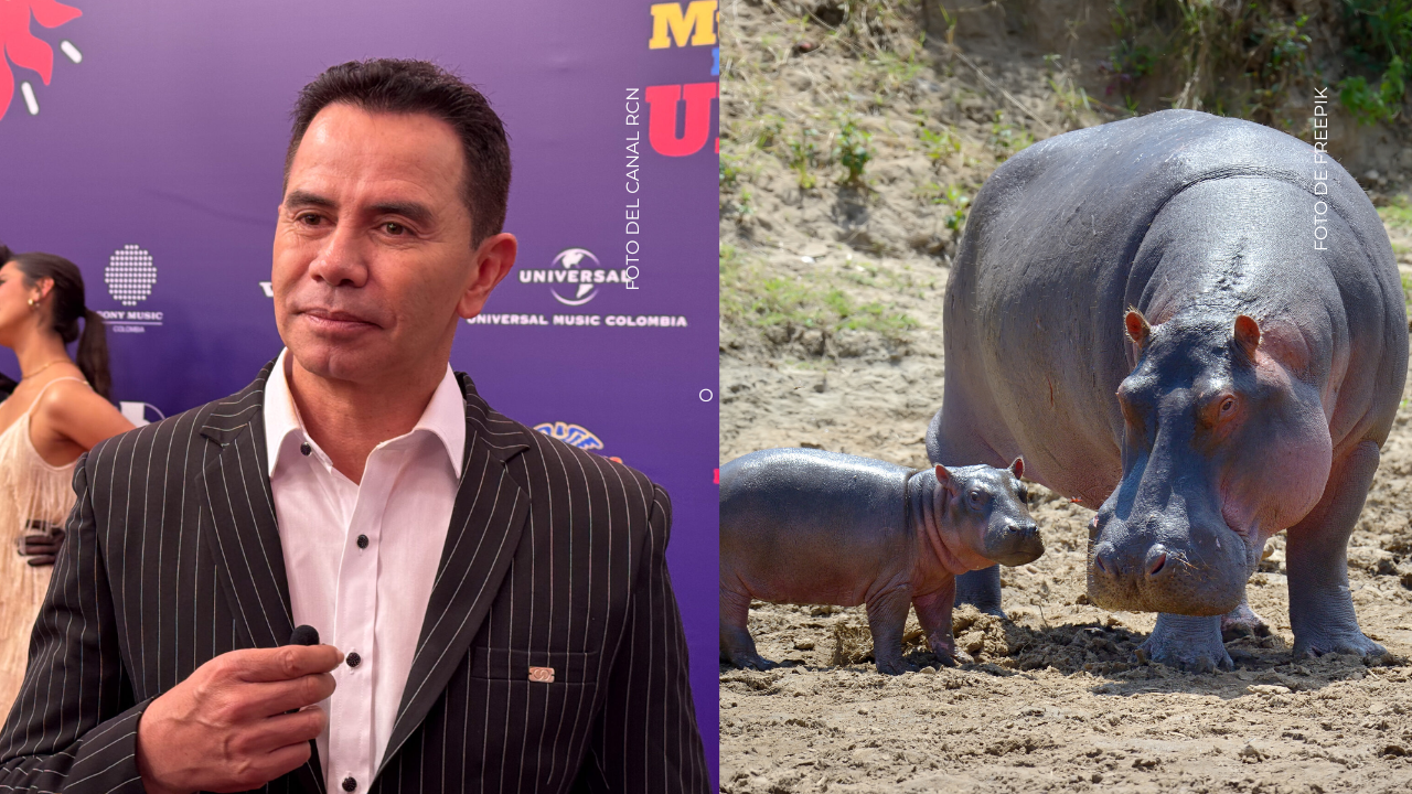 ¿Jhonny Rivera adoptará hipopótamos? Su confesión llamó la atención en redes sociales