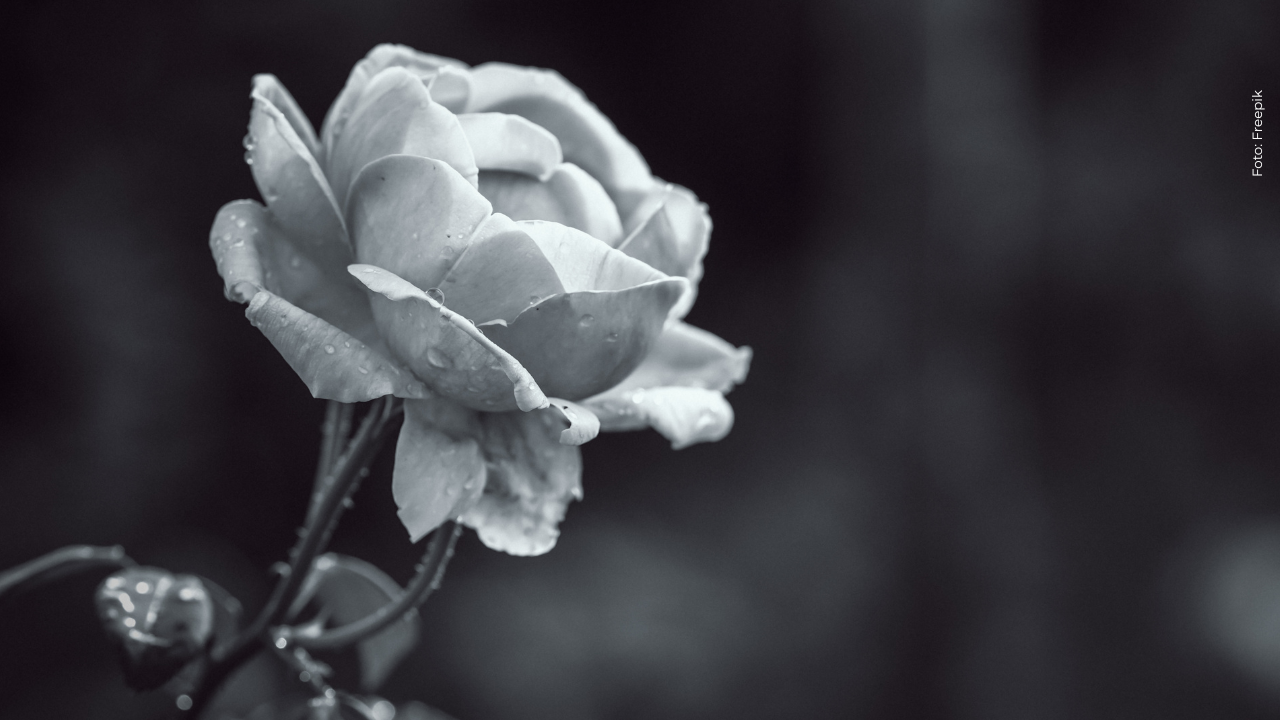 ¡Duelo en la música! Falleció reconocido en hecho inesperado en su casa, ¿quién fue?