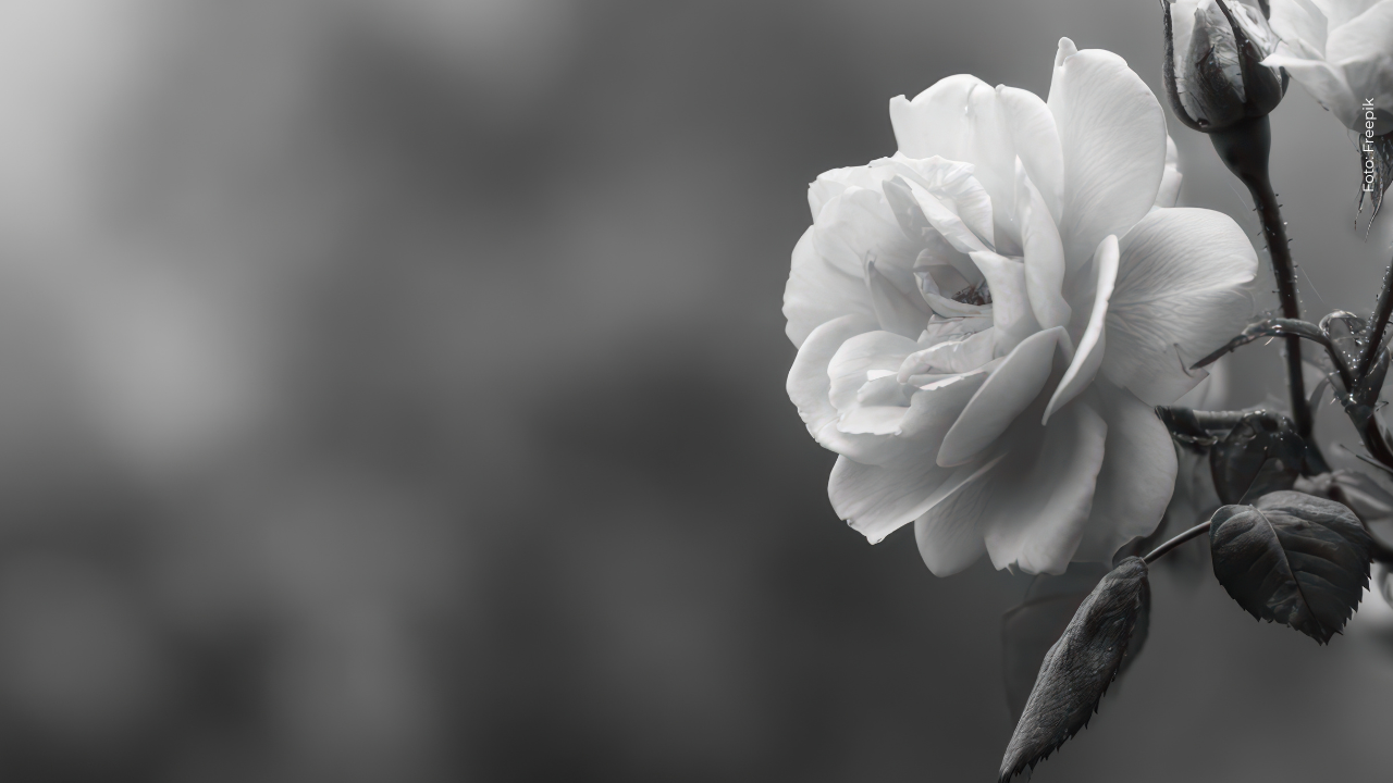 Mamá de Karola Alcendra se viste de luto en sus redes sociales tras compartir dolorosa fotografía