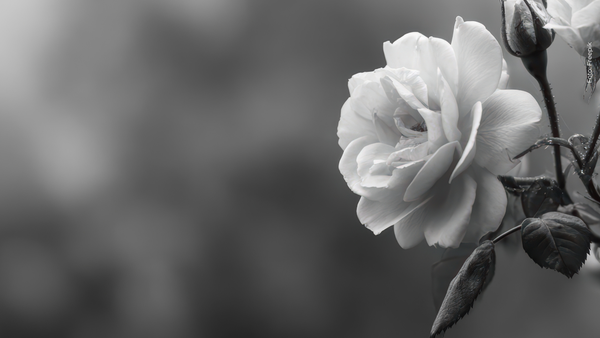 Mamá de Karola Alcendra se viste de luto en sus redes sociales tras compartir dolorosa fotografía