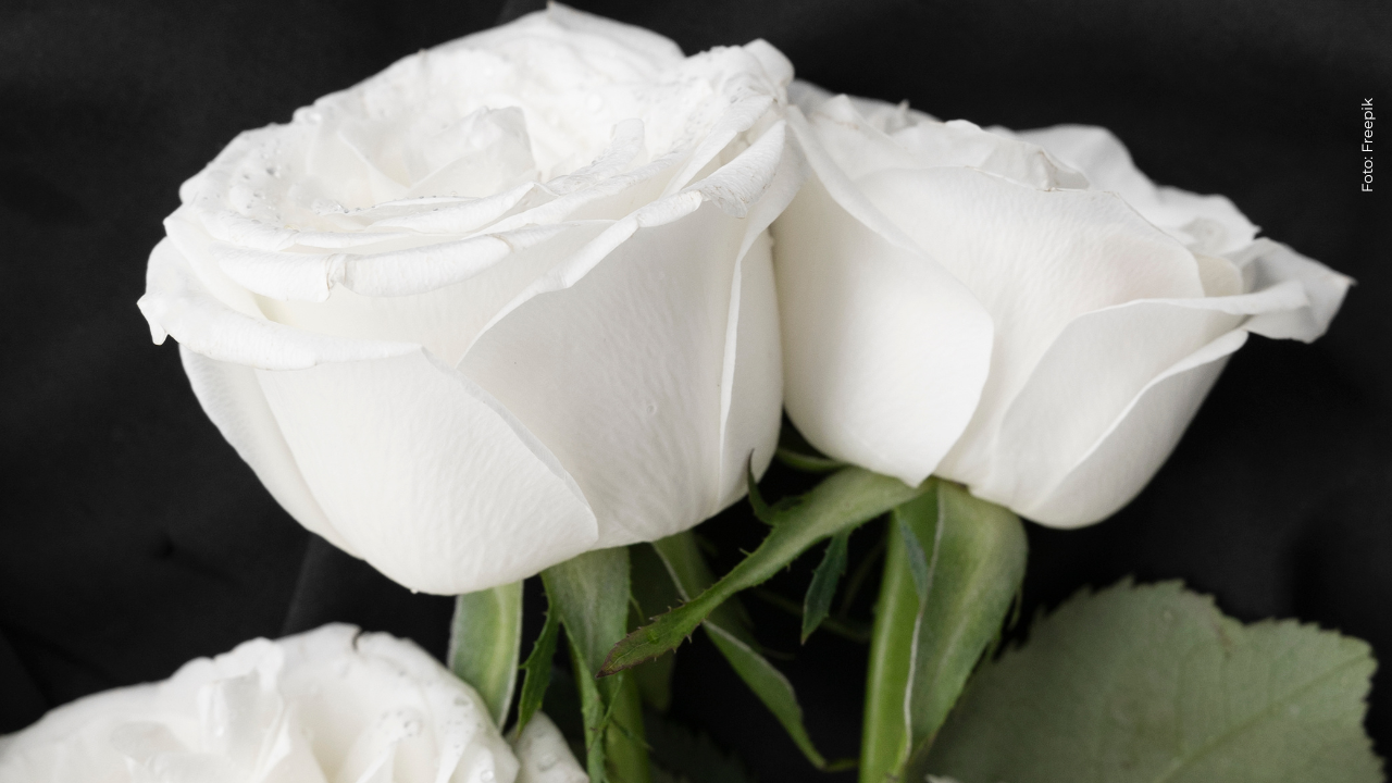 ¡Luto en redes sociales! Falleció creadora de contenido a causa de un infarto: así se confirmó