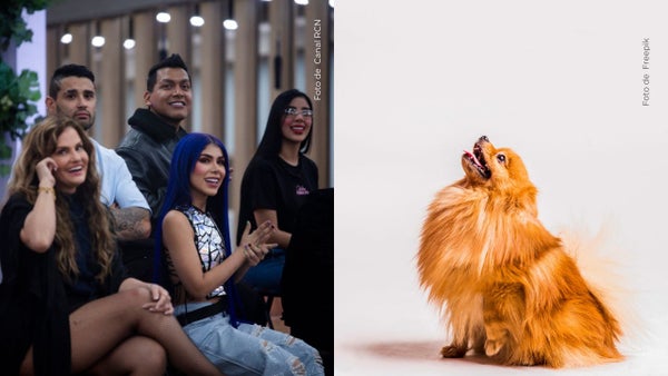 Un participante recibirá la visita de su mascota en La casa de los famosos Colombia; ¿quién?