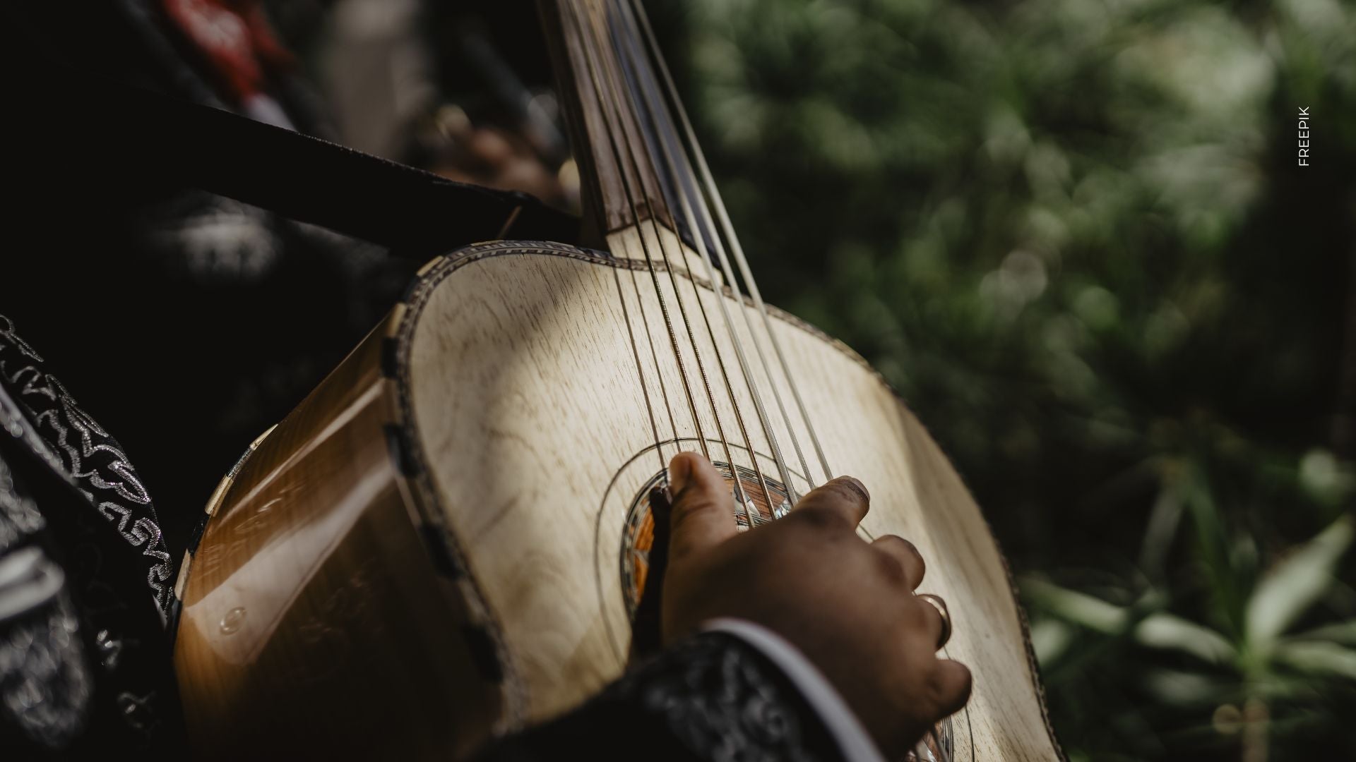 Show de Los Tigres del Norte en Bogotá