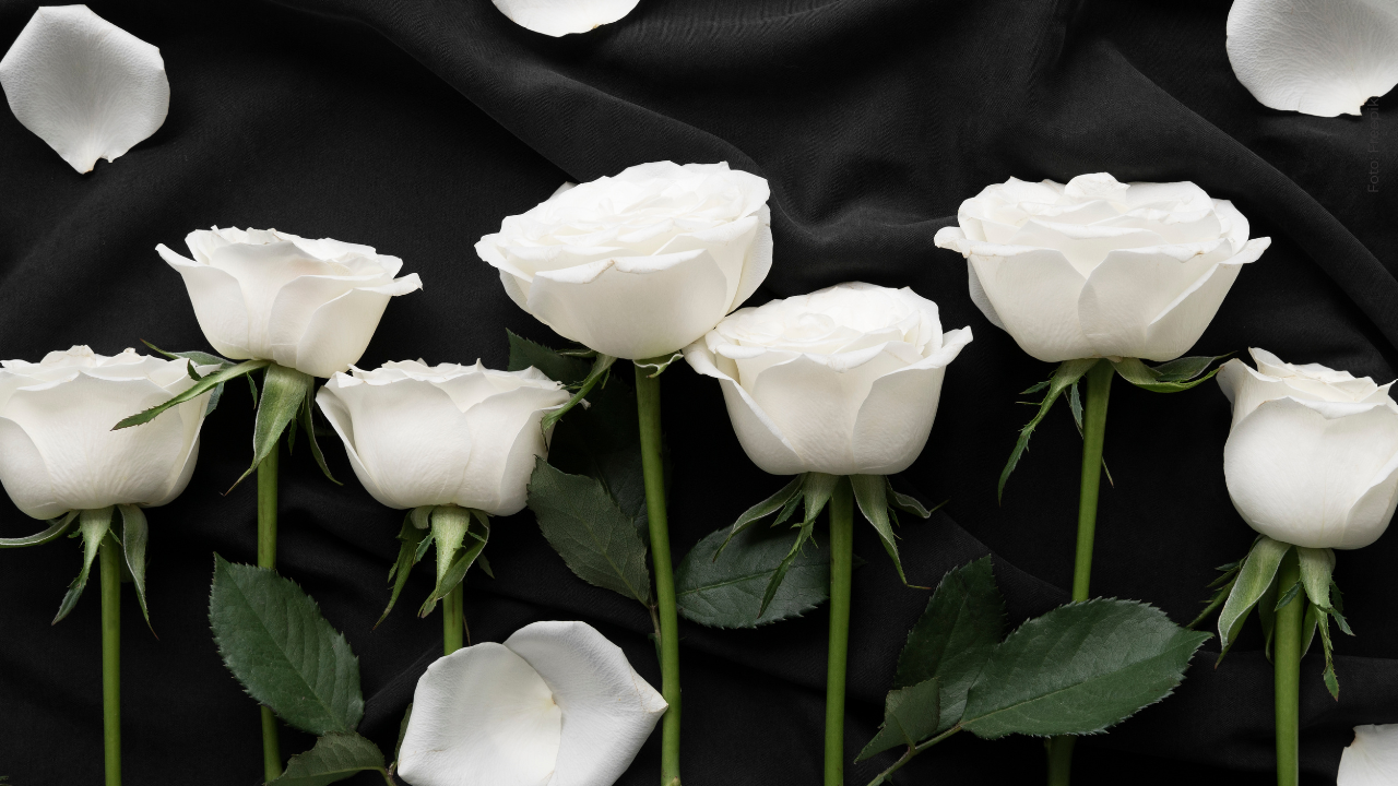 Hermano de Mariana Pajón reacciona ante el fallecimiento de reconocido ciclista colombiano