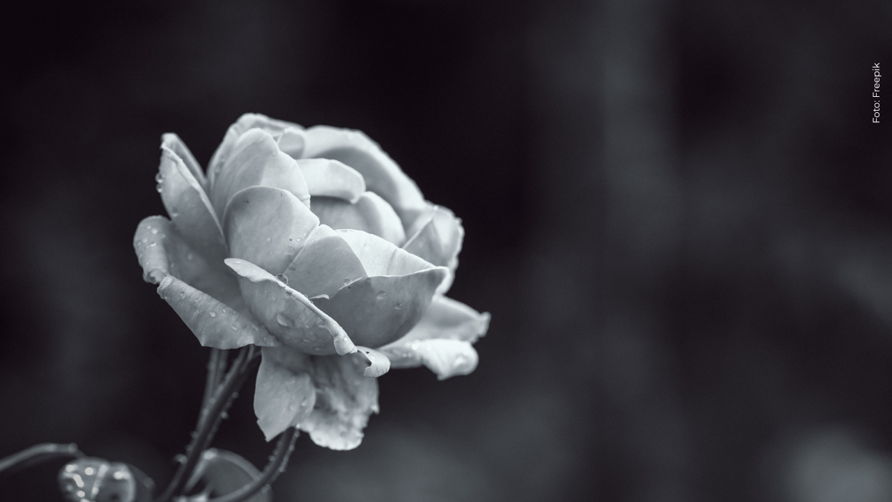 ¡Sentido luto en la música colombiana! Falleció reconocido artista, ¿cómo se confirmó?