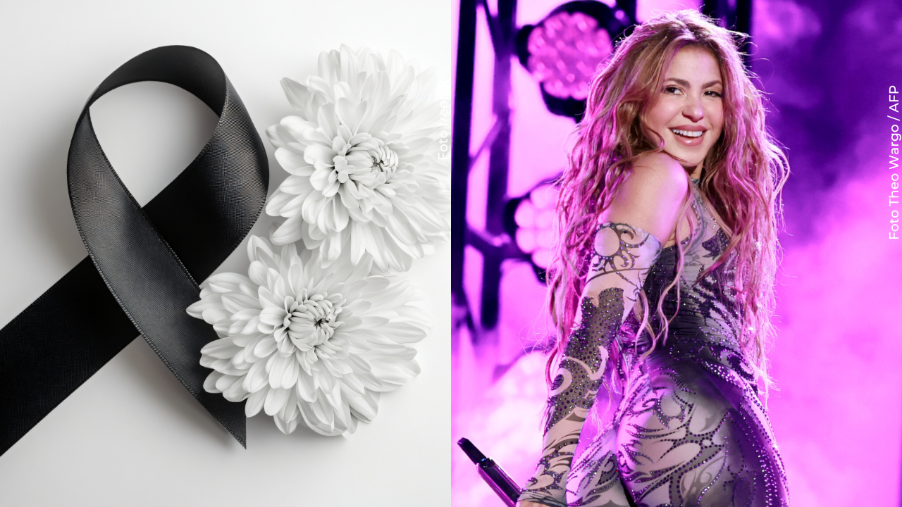 Shakira declaraciones