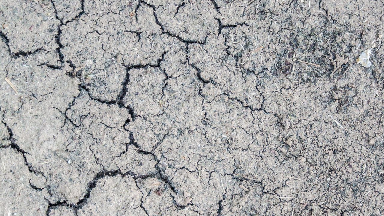 ¡Tembló en Bogotá! Así fue la magnitud del sismo, ¿qué prevenciones se deben tener al respecto?