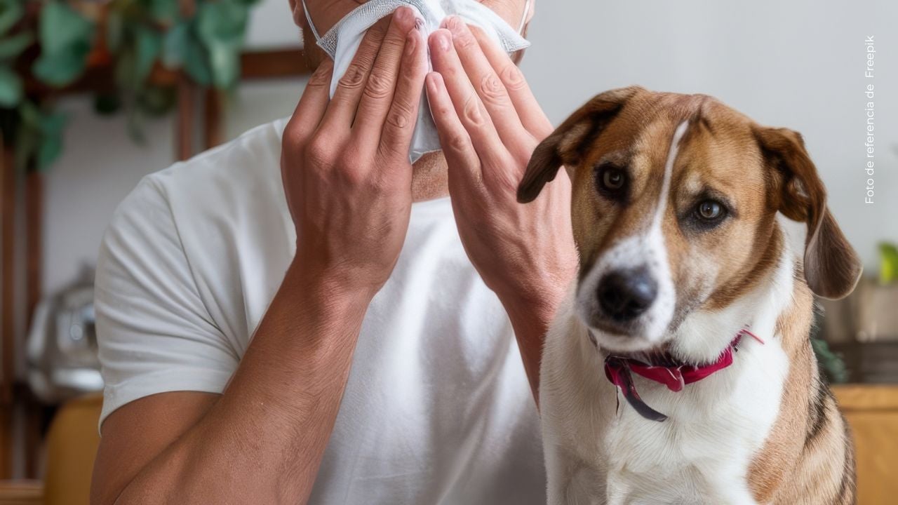 Alexis Escobar mostró la delicada alergia que sufrió en su rostro tras tocar a un perro