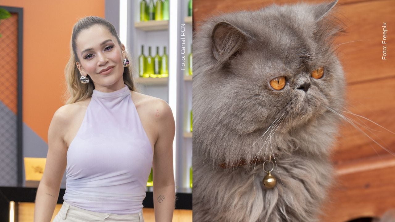 Lina Tejeiro conmueve las redes al revelar video de cómo su gato acaricia su panza de embarazada