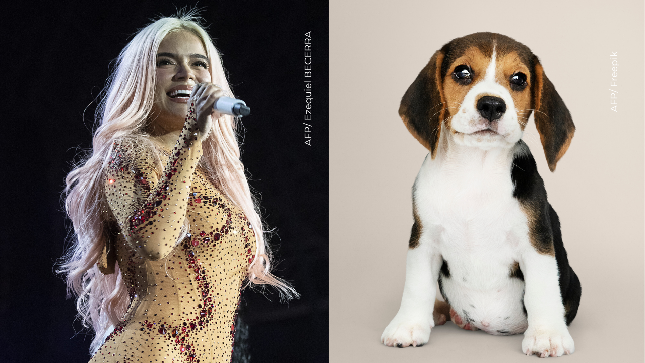Karol G se llevó los aplausos por gesto hacia los animales