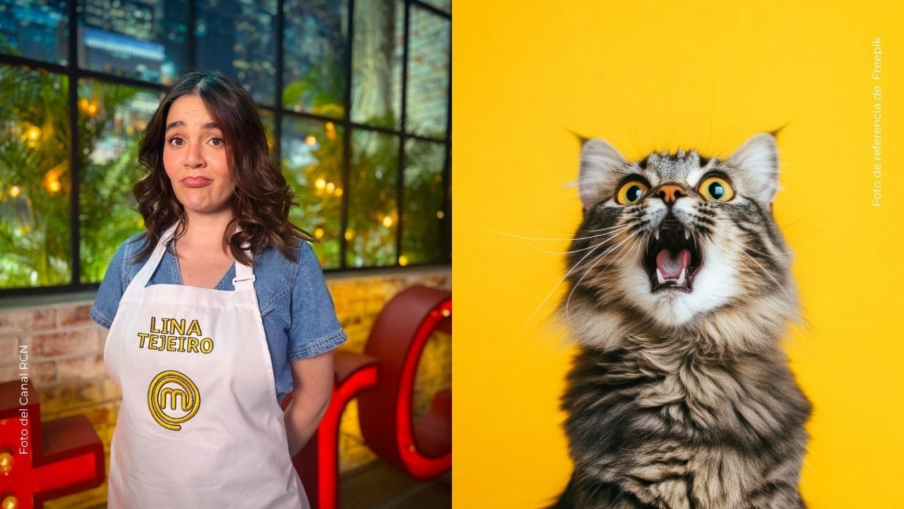 ¿Se alejó de sus gatos? Lina Tejeiro aclaró cómo vive su embarazo