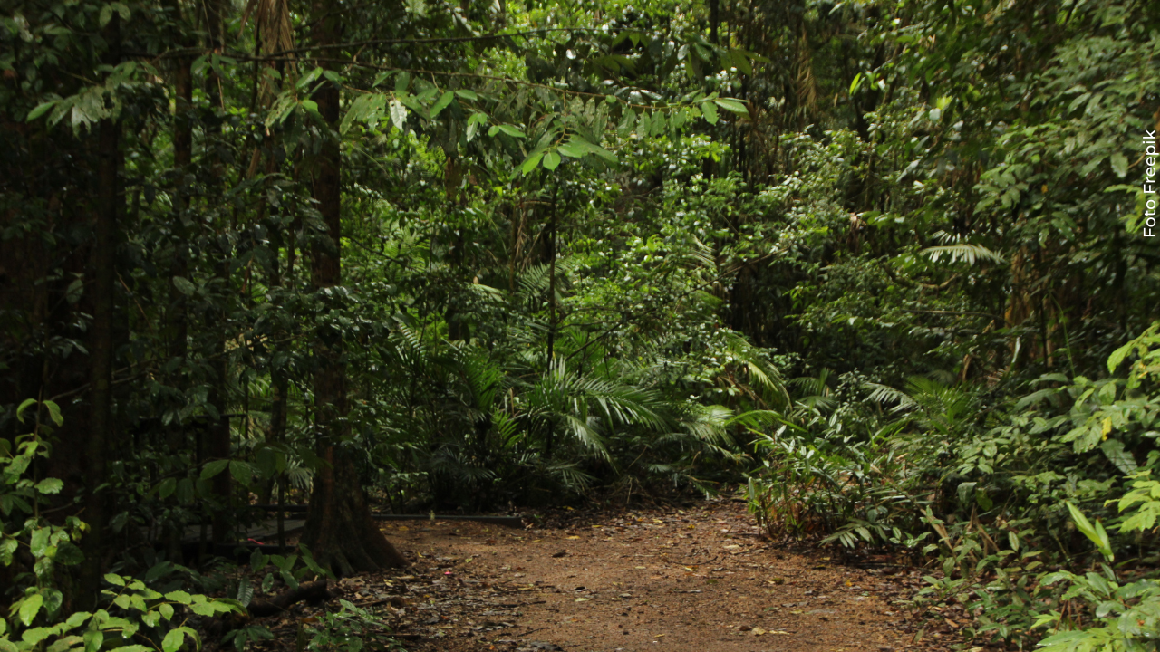 Carolina Ramírez mostró cómo vive la recta final de su embarazo en plena selva