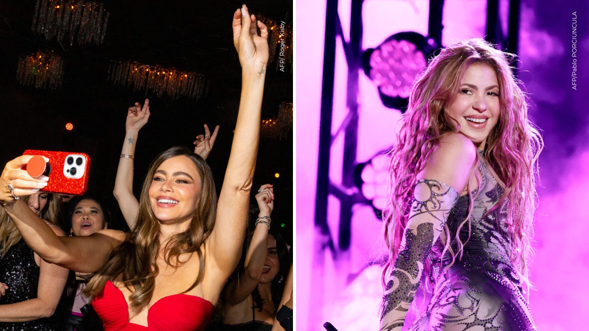 Sofia Vergara y Shakira en concierto
