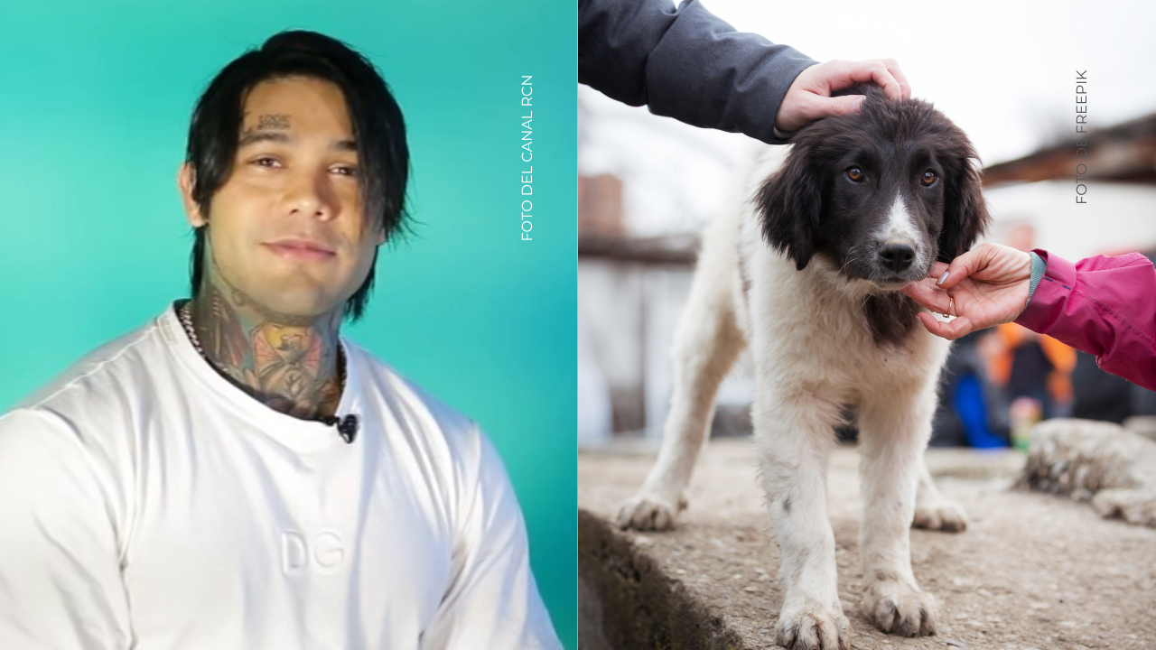 Yeferson Cossio apoyará fundaciones de perros si Colombia gana
