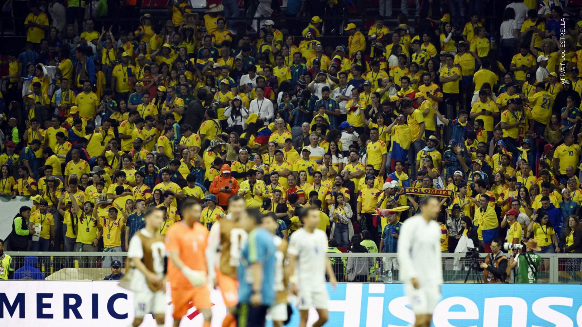 Fanáticos apoyando a Colombia